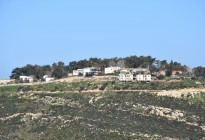  בית אורן